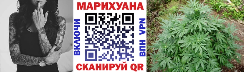 как найти   Югорск  Бошки марихуана OG Kush 